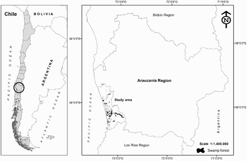 Figure 1. Map of the study area with the locations of the 30 sampling sites in the coastal swamp forest remnants of the Araucanía Region, Chile.