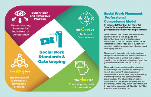 Figure 1. Social Work Placement Professional Competence Model (2024).