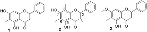 Figure 4. Anti-Phytophthora flavanones isolated from kānuka leaves: 1 = 5,7-dihydroxy-6-methylflavanone; 2 = 5,7-dihydroxy-6,8-dimethylflavanone; 3 = 5-hydroxy-7-methoxy-6-methylflavanone.