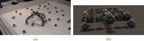 Figure 1. (a) A swarm of autonomous JASMINE robots [Citation19], partially aggregated to a multi-modular robot organism. The artificial homeostatic hormone system (AHHS) controller presented here aims to control the swarm of individually driving robot units. (b) Example configuration of several joined robotic units that form a higher-level organism. For such systems, we use a network of joint AHHS controllers to regulate internal homeostasis and motion of such aggregated robotic organisms. Photos courtesy of Serge Kernbach, University of Stuttgart, Germany.