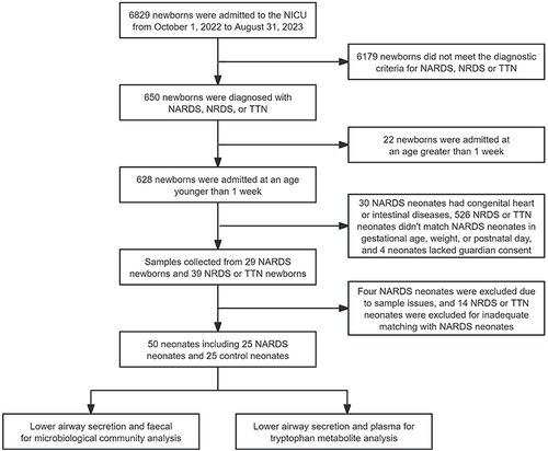 Figure 1 Flowchart of patient enrollment in the study.