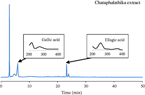 Figure 1. HPLC quantification of ellagic acid and gallic acid in CTPT extract.