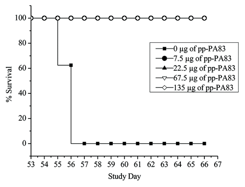 Figure 7. Percent survival of pp-PA83-immunized rabbits after inhalation challenge with B. anthracis. New Zealand White rabbits were vaccinated with three doses of pp-PA83 plus Alhydrogel on study days 0, 21 and 42, and then challenged intranasally with 368 LD50 of aerosolized B. anthracis Ames strain on study day 53.