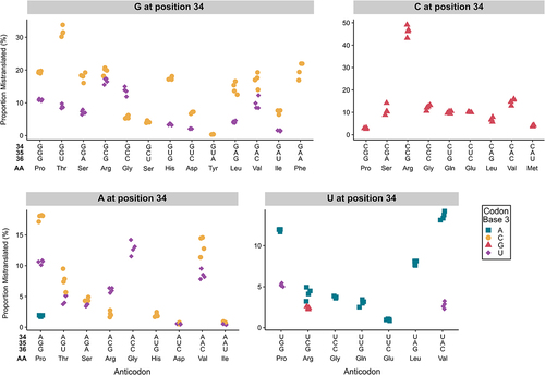 Figure 7. Profile of mistranslation events detected at synonymous codons for tRNAAla variants with G, A, C or U at base 34. For each tRNAAla anticodon variant, the proportion of mistranslated peptides identified at each synonymous codon was calculated from the number of unique peptides with a mistranslation event at that codon relative to the number of unique peptides containing a wild-type residue at that specific codon. In all cases, positions 35 and 36 formed Watson-Crick pairs with positions 2 and 1 of the codon, respectively. To confidently localize the mistranslation event and identify the mistranslated codon, only peptides containing a single target amino acid were used in this analysis. Only mistranslation that is statistically above the frequency measured for the same codon in the wild-type strain is shown (Welch’s t-test; Benjamini-Hochberg corrected p < 0.01). Each point represents one biological replicate (n ≥ 3). Note the scale of the y-axis is different for each plot.