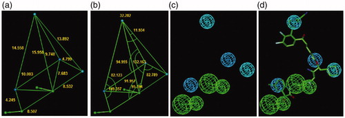 Figure 11. The inhibition pharmacophore filling the S2 pocket of the FP-2 active site derived from the bound conformation of the best analogues with P2 substitution such as 125–1-1-H-lki-128 (IC50pre=13 nM) (green): distances (a), angles (b), features (c), and 125–1-1-H-lki-128 mapping (d). Compared with the 3D QSAR complexation PH4, a supplementary hydrophobic feature corresponding to S2 pocket filling appeared. The features are coloured blue for hydrophobic aliphatic (HYd), green for hydrogen-bond acceptor (HBA), purple for hydrogen-bond donor (HBD) and orange for aromatic (Ar). The arrows represent the projection for the donor and acceptor features.