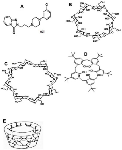 Figure 1 Chemical structures of trazodone (A), β-CD (B), γ-CD (C), 4t-BC8 (D), and the toroidal shape (E).