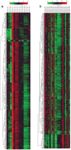 Figure 2. Heat map clustering of differentially expressed miRNA microarray data. (a) Heat map of differentially expressed miRNAs in lung adenocarcinoma; (b) heat map of differentially expressed miRNAs in lung squamous cell carcinoma. Red represents upregulated miRNAs; the darker the color, the more pronounced the upregulation. Green represents downregulated miRNAs; the darker the color, the more pronounced the downregulation