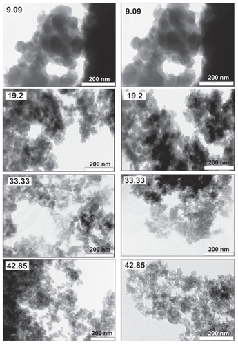 Figure 12 Transmission electron microscopy images of the different silica–dopamine materials at different magnifications, showing nanoparticle aggregates.