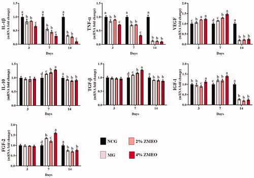 Figure 6. The effects of topical application of ZMEO on gene expression. Superscripts (a–d) indicate significant differences in same day at p < 0.05.