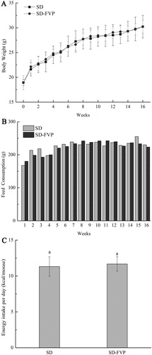 Figure 3. (a) Body weight; (b) food consumption; (c) energy intake. Values are means ± SDs.