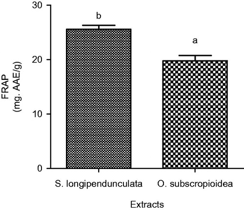 Figure 3. Ferric reducing antioxidant property of aqueous extract of S. longipendunculata root and O. subscropioidea leaf. Values with different alphabet (a and b) are statistically different.