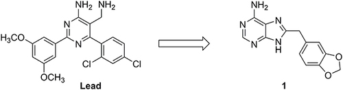 Figure 2 Chemical structures of lead and compound 1.