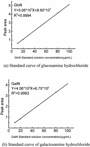 Figure 12. (a) Standard curve of glucosamine hydrochloride. (b) Standard curve of galactosamine hydrochloride.