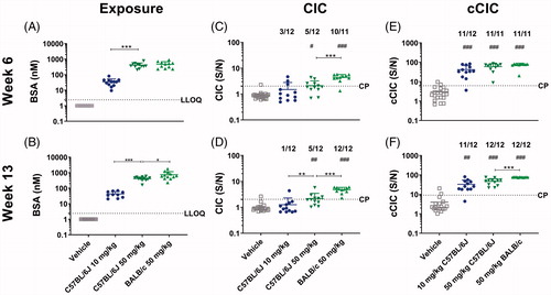 Figure 2. Exposure, CIC and cCIC formation in mice in BSA dose-finding study. C57BL/6J mice or BALB/c mice were administered with vehicle, 10 mg/kg BSA (C57BL/6J only), or 50 mg/kg BSA SC twice weekly for 13 weeks. Exposure (A,B), circulating immune complexes (CIC) (C,D), and complement-bound CIC (cCIC) (E-F) concentrations in plasma were measured at Weeks 6 and 13. Data were expressed as means ± SD. A Student’s unpaired t-test/t-test with Welch’s correction or Mann-Whitney, 1-way ANOVA/Bonferroni or Kruskal Wallis/Dunns, #p < 0.05, ##p < 0.01, ###p < 0.001 compared to vehicle. *p < 0.05, **p < 0.01, ***p < 0.001 compared to indicated mouse group. Number above graph: Number of mice in a dose group above cut-point (CP). LLOQ: Lower limit of quantification; S/N: Signal to noise.