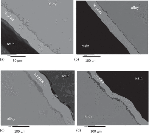 Figure 3. BSE images of cross-sections showing (a) the outer surface of a sample of SS 304 exposed to 850 °C for 4 × 100 hours, (b) the outer surface of a sample of SS 316 exposed to 900 °C for 200 hours, (c) the inner surface of a sample of SS304 exposed to 900 °C for 200 hours, and (d) the inner surface of a sample of SS316 exposed to 900 °C for 200 hours, showing the darker contrast oxides at the outer surface of the alloy protected by the Ni-plate. The thickness of the surface oxide varied across the surface of the sample and penetration of an oxide into the alloy along the grain boundaries had occurred.