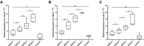 Figure 2 IL-36 was highly expressed in patients with COPD and was related to the severity of COPD. The mRNA levels and significant differences in IL-36α (A), IL-36β (B), and IL-36γ (C) in PBMCs of patients with COPD were determined by PCR. The number of samples in each group was as follows, GOLD 1 (n = 6), GOLD 2 (n = 20), GOLD 3 (n = 20), GOLD 4 (n=9), Control (n = 15). Data were pooled from at least 3 independent experiments and are presented as the mean ±SD. *p < 0.05, **p < 0.01.