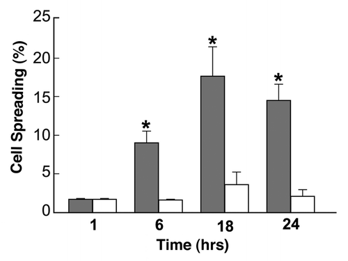 Figure 4 Time course of ES-D3 cells spreading on gelatin or fibronectin. The cells were cultured in the presence or absence of LIF (Method I) on 0.1% gelatin (white bars) or 10 µg/ml fibronectin (gray bars) for 24 h. Every 6 h the cells were photographed. % cell spreading was estimated as the ratio of spread elongated cells out of the total number of cells in the field ×100.
