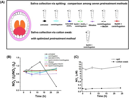 Figure 1. Different pretreatment and sampling methods of saliva. (A) Scenic description of seven pretreatment methods: untreated, centrifugation, saturated ZnSO4, NaOH plus ZnSO4 and centrifugation, filtration, centrifugation plus MeOH, and NaOH plus centrifugation. (B) ratio of NO2− (ti) to NO2− (t0) versus time with methods described in (A). t0 was when the first measurement was performed immediately after pre-treatment. ti was when nitrite was measured at time length i: 2, 6, 12 or 24 h. (C) nitrite concentrations within 24 h with one of these two sampling methods: spitting (spit), cotton swabbing (cotton swab), followed by pretreatment of NaOH plus centrifugation.