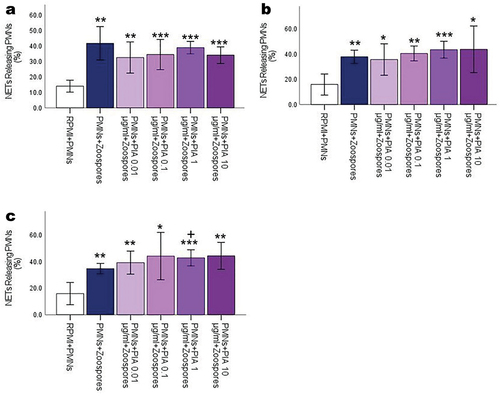 Figure 3. Release of NETs from neutrophils. Quantification of NETosis percentage for strain 1 (a), strain 2 (b), and strain 3 (c). * indicates a comparison between control (RPMI+PMN) and other groups; + indicates a comparison between untreated PMNs and PIA-treated PMNs. *p < .05, **p < .01, ***p < .001, +p < .05.