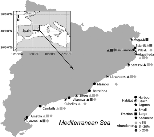 Fig. 50. Distribution and relative abundances of Ansanella (ASV5) in the dinoflagellat e communities from the water column (2 fractions) and sediments. The sampled area included three different coastal habitats along the Catalan coast (NE of Spain). Missing symbols in some locations represent no detection in that fraction.