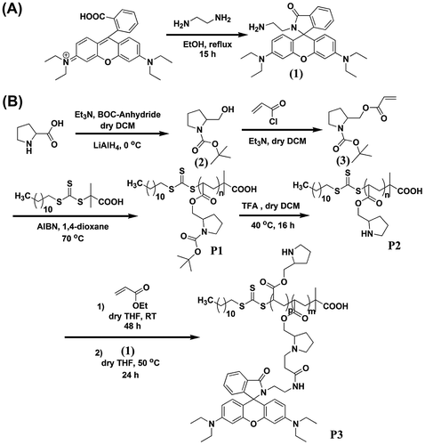 Scheme 1. Schematic representation of synthesis of (A) ethylenediamine derivative of rhodamine B and (B) polymer P3.