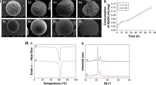 Figure 3 (I) SEM photographs of drug-free PCL microspheres during in vitro degradation prepared by oil-in-oil method (A) as well as oil-in-water method (B): 0 h (A1, B1), 24 h (A2, B2), 48 h (A3, B3), and 72 h (A4, B4). (II) The consumption of NaOH for different samples in the course of degradation: (A) drug-free PMS; (B) drug-free DMS. (III) Analysis of the physical properties of drug-free PCL microspheres using DSC (A) and XRD (B): (a) PMS; (b) DMS.