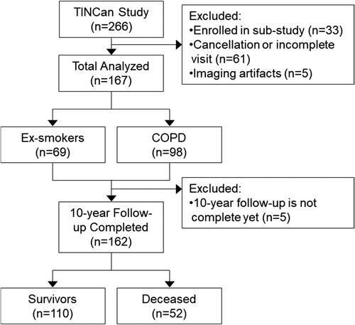 Figure 1. CONSORT Flow diagram. Of the 266 participants enrolled in the TINCan study, 33 were enrolled in a sub-study, 61 either canceled or did not complete all required tests during visit 1, and five had CT or MRI artifacts which precluded analysis. Of the 167 participants who completed Visit 1, five were not yet within their 10-year follow-up timeframe. At follow-up, there were 52 deceased participants, of whom 14 were ex-smokers and 38 were ex-smokers with COPD.