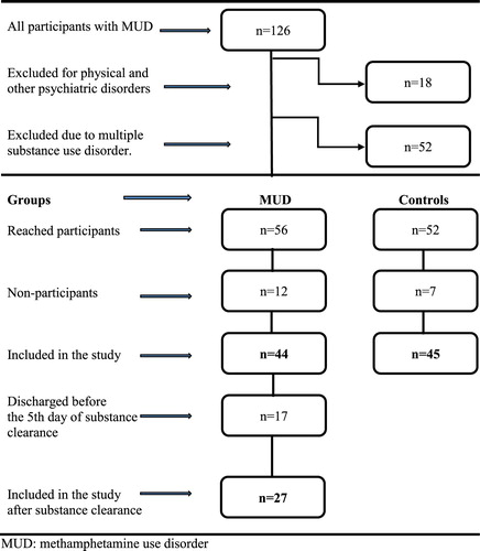 Figure 1. Flow chart of participants. MUD: methamphetamine use disorder.