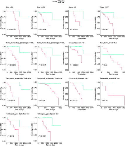 Figure 5. Subgroup analyses. The application value of the signature was assessed in different subgroups, including age, new tumour event after initial treatment, tumour stage, tumour morphology percentage, cytogenetic abnormality, and extrascleral extension.