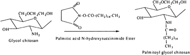 Figure 6 Synthetic pathway of palmitoyl glycol chitosan.