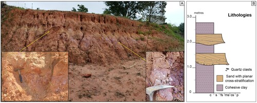 Figure 3. Outcrop near to the main entrance of IPEN institute (field point FB – 102).