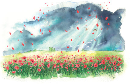 Plate VIII. (Image ©M.IMPEY 2018 from the book Where The Poppies Now Grow by Hilary Robinson and Martin Impey, publ: Strauss House Productions).