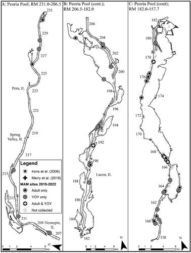 Figure 4. Map of 2019–2022 Round goby captures from Peoria Pool of the Illinois Waterway. Note that RM stands for river mile.