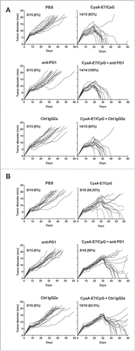 Figure 2. Anti-PD-1 antibody treatment does not enhance the therapeutic efficacy of the CyaA-E7 vaccine. C57 BL/6 J mice were injected with 6 × 105 TC-1 cells on day 0, and after 14 (A) or 24 (B) days were i.v. immunized with CyaA-E7 (50 µg/mouse) and CpG-B-DOTAP (left panels) or received PBS (right panels). On day 13 (A) or 23 (B) and then every 3 days after vaccination, the mice were left untreated (upper panels) or received either i.p. injection of anti-PD-1 (middle panels) or isotype control antibodies (lower panels) for a total of 4 injections (250 µg/mouse/injection on days 13, 17, 20 and 23 in A or days 23, 27, 30 and 33 in B). The results represent the cumulative data from 2 independent experiments (n = 14–15 mice per group).