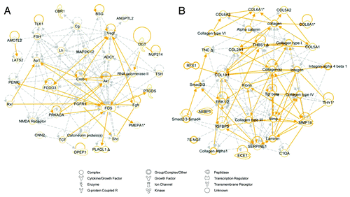 Figure 3. Network analysis of elevated stress wounds. Top two scoring Ingenuity Pathway Analysis (IPA)-constructed transcriptome networks based genes that were significantly upregulated in elevated stress wounds compared with natural stress wounds. Panel (A) represents the IPA gene expression network whose top function is “Cell Death and Survival,” and (B) corresponds to “Connective Tissue Disorders.” Direct relationships are indicated by solid lines (yellow), and dashed lines (gray) represent indirect relationships.