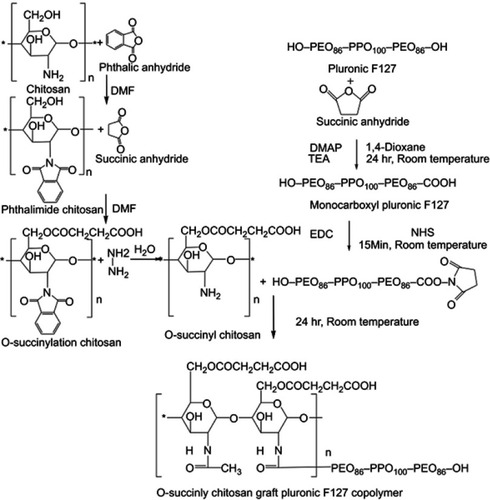 Figure 1 Synthesis of the O-succinyl chitosan-pluronic copolymer using EDC/NHS.Abbreviations: EDC, 1-ethyl-3-(3-dimethylaminopropyl) carbodiimide hydrochloride; NHS, N-hydroxysuccinimide; DMF, dimethylformamide; DMAP, 4-dimethylaminopyridine; TEA, Triethylamine.
