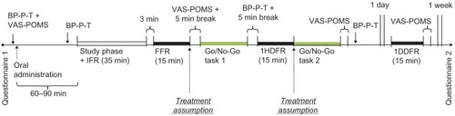 Figure 1 Schematic overview of the procedure of the experiment.