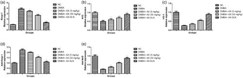 Figure 4. The effect of AX-SLN on the protein expression of antioxidant marker of DMBA-induced breast cancer rats. (a) Keap-1; (b) Nrf2, (c) HO-1, (d) Antikeap-1, and (e) AntiNrf2. Each value shows the mean ± SEM, where the treated group rats were compared with the DMBA-induced group rats. Statistical analysis was done by one-way ANOVA followed by Dunnett’s multiple comparison. *p < .05, **p < .01, and ***p < .001.