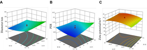 Figure 3 Response surface plots for diameter (A), PDI (B), zeta potential (C), and the plots indicated the interaction between X1 and X2. X1: BSA concentration (mg/mL), X2: pH value.