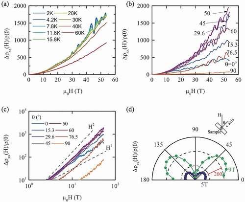 Figure 12. MR measurements of ZrSiS. (a) The curves of MR in different temperatures. (b) The MR curves with different measurement angles. (c) The MR data in the log-log frame. (d) The MR’s angular dependence, forming a butterfly shape [Citation87].