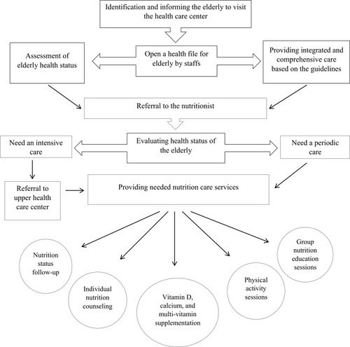 Figure 1 Process and components of elderly integrated nutrition–care program in health-care centers of Iran.