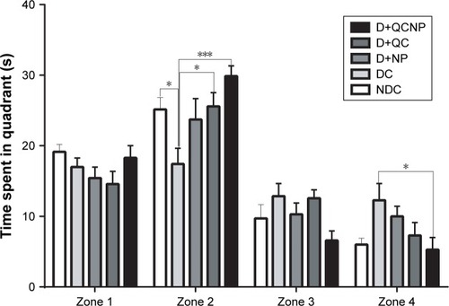 Figure 6 Effect of treatment with Fe3O4 NPs, QC, QC-Fe3O4 NPs (35 days) on water maze performance in the probe trial. Probe trial performance was measured by the time spent in the target zone (zone 2). Values are represented as mean ± SEM of 7–8 animals per group. *P<0.05 and ***P<0.0001 vs diabetic control group (two-way ANOVA followed by Tukey’s multiple comparison test).Abbreviations: QC, quercetin; NP, nanoparticle; NDC, non-diabetic control; DC, diabetic control; D+NP, diabetic treated with nanoparticle; D+QC, diabetic treated with quercetin; D+QCNP, diabetic treated with quercetin nanoparticle.