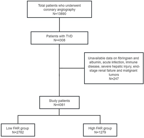 Figure 1 The participant flow chart.