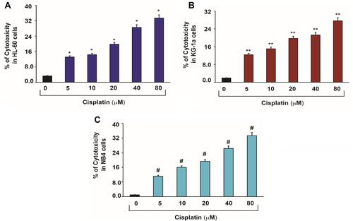 Figure 2 Cisplatin-induced cytotoxic effects in APL cells.Citation14 APL cells were exposed to various concentrations (0, 5, 10, 20, 40 and 80 μM) of cisplatin for 48 hours and LDH released in medium was measured using Promega non-radioactive cytotoxicity assay technical bulletin protocol. Then, % cytotoxicity was calculated by dividing the levels of released LDH in treated cells over the total LDH released from control cells. Highly statistically significant increases (p < 0.01) in cytotoxicity were observed in all cisplatin-treated APL cells including HL-60 (A), KG-1a (B) and NB4 (C) cells in a concentration-dependent fashion. Multiple symbol indicators (*, **, #) indicate highly significant increases (p<0.01) in cytotoxicity between control and cisplatin-treated cells, respectively, for HL-60, NB4, and KG1a cells. Reproduced from Kumar S, Tchounwou PB. Molecular mechanisms of cisplatin cytotoxicity in acute promyelocytic leukemia cells. Oncotarget. 2015;6(38):40734–40746. Creative Commons license and disclaimer available from: http://creativecommons.org/licenses/by/4.0/legalcode.14