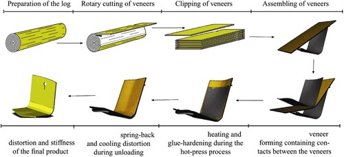 Figure 1. Manufacture of laminated veneer products (LVPs) and distortions of the product after pressing (Ormarsson and Sandberg Citation2007).