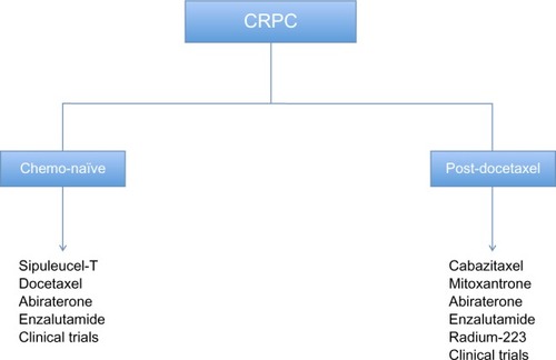Figure 1 Current therapeutic options for patients with metastatic CRPC.