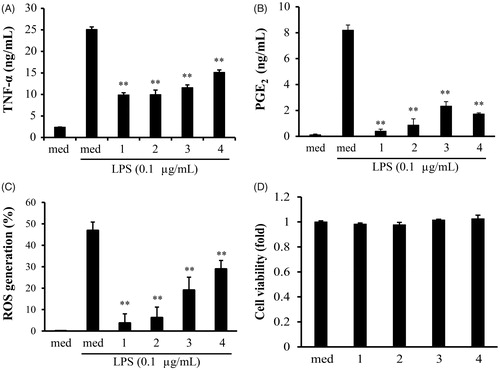 Figure 2. The inhibitory effects of sesquiterpenoids (compounds 1–4) on LPS-induced production of cytotoxic factors in BV-2 cell. (A) TNF-α was measured by the ELISA after treatment of test compounds in BV-2 cells. (B) PGE2 was measured by ELISA with the treatment of test compounds in LPS-activated BV-2 cells. (C) ROS generation was measured by FACS after treatment of test compounds in BV-2 cells. (D) BV-2 cell viability was measured by MTT after treatment of test compounds (10 μM) for 24 h. Values are mean ± SD of three experiments. **p < 0.01 compared with LPS-treated group (med: media).