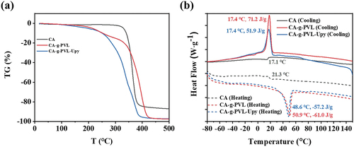 Figure 2. (a) TGA and (b) DSC curves of CA, CA-g-PVL, and CA-g-PVL-Upy measured at the scanning rate of 10°C min−1 under flowing nitrogen.