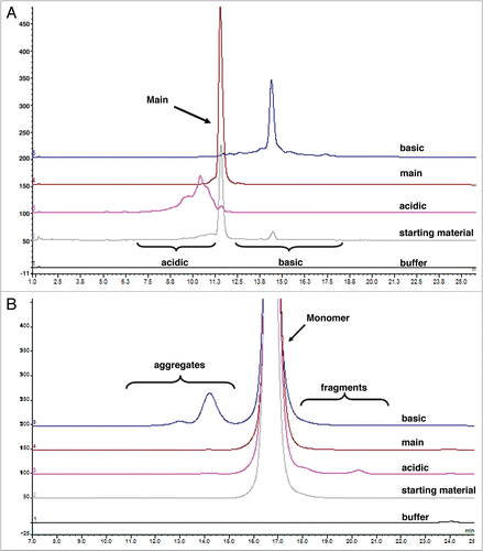 Figure 1 Chromatographic profiles obtained from a (A) IEC shown in full scale and (B) SEC shown in expanded scale for all charge variant fractions, starting material and buffer blanks. See Table 2 for numerical values obtained from these analyses.