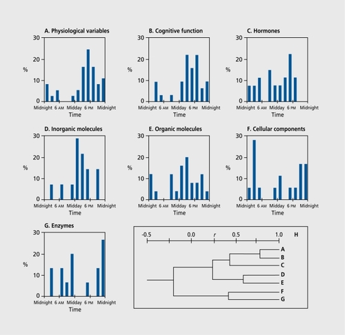 Figure 2. Distributions of circadian rhythm acrophases (Φ) according to the variables' function. A to G illustrate the 24-h acrophase frequency distribution of 7 groups of variables, and the dendrogram H shows the similarities along the groups by clusters on correlation scale (r). The upper cluster in H presents the greater similarities among the physiological variables (A), cognitive function (B), and hormones (C), where most of the acrophases occur in the late afternoon. In the inorganic molecules (D) and the organic molecules (E) groups (middle cluster H), most acrophases aggregate around midday. The third cluster (lower cluster, H) contained cellular components (F) and enzymes (G), in which most acrophases were distributed around midnight. Reproduced from reference 24: Ticher À, Ashkenazi IE, Reinberg A. Preservation of the functional advantage of human time structure. FASEBJ. 1995;9:269-272. Copyright © 2003, Federation of American Societies for Experimental Biology.